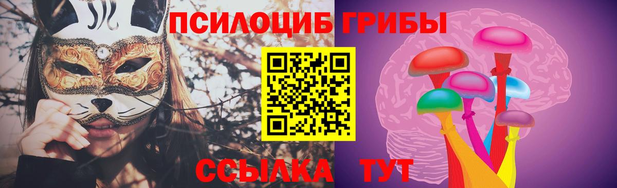 Галлюциногенные грибы Psilocybine cubensis  Вход с VPN  Будённовск 